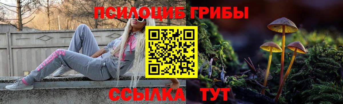 Усть-Илимск  Галлюциногенные грибы MAGIC MUSHROOMS  Вход с VPN 